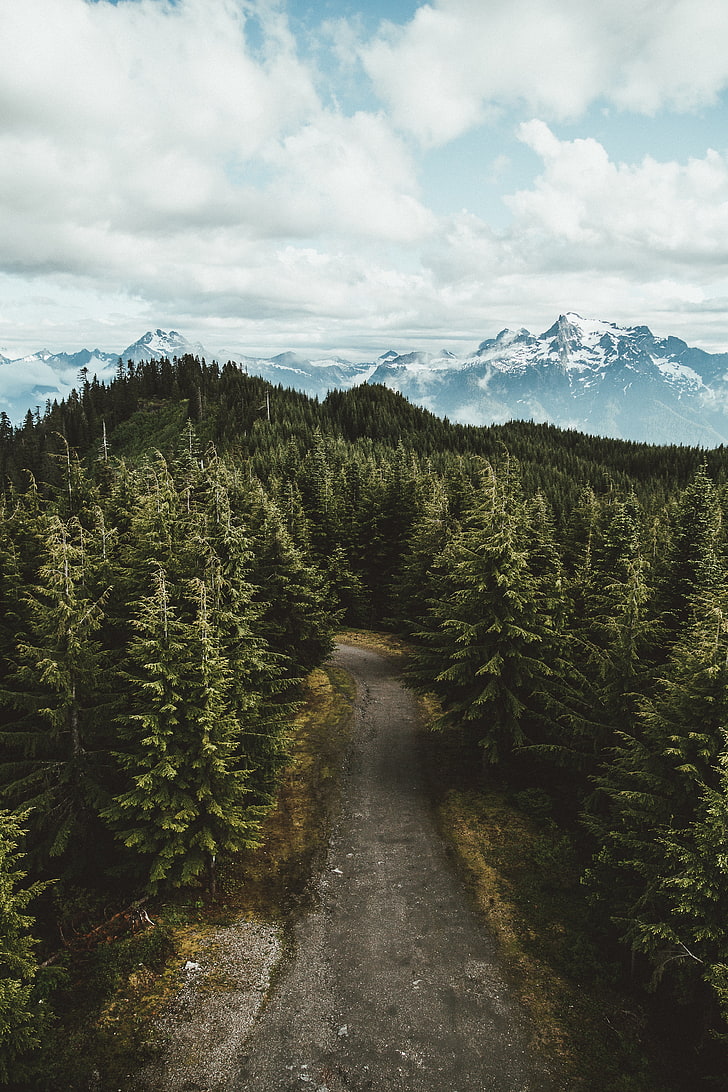 صورة جوية لطريق رمادي بين الأشجار والطبيعة والأشجار والثلج والطريق، خلفية HD، خلفية الهاتف