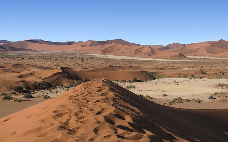 terrain désertique, désert, sable, collines, traces, Fond d'écran HD
