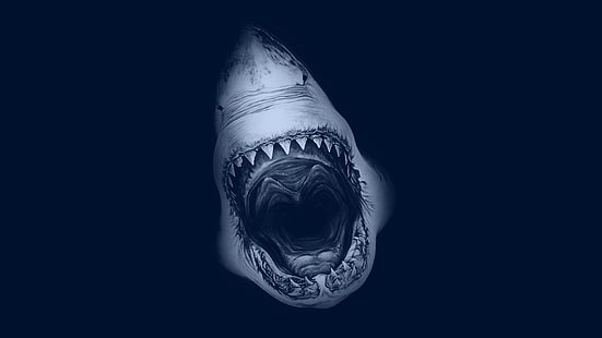 Grande tubarão branco, HD papel de parede HD wallpaper