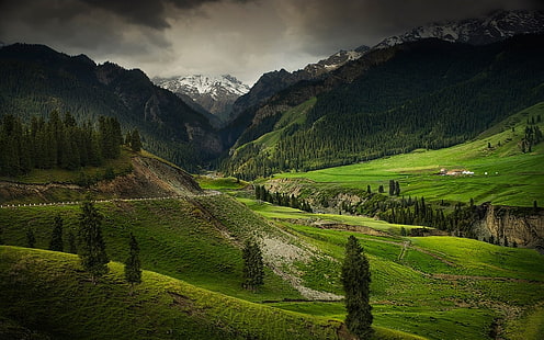 campo de hierba verde, montañas, valle, naturaleza, paisaje, bosque, China, verde, pico nevado, nubes, árboles, hierba, Fondo de pantalla HD HD wallpaper
