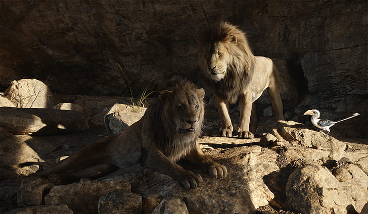 映画、ライオンキング（2019）、ムファサ（ライオンキング）、シンバ、ザズ（ライオンキング）、 HDデスクトップの壁紙