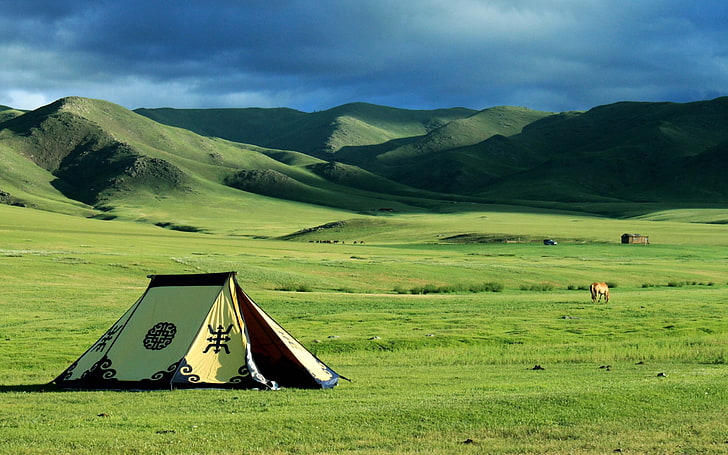 yellow and black dome tent, nature, landscape, Mongolia, tent, steppe, field, hills, HD wallpaper