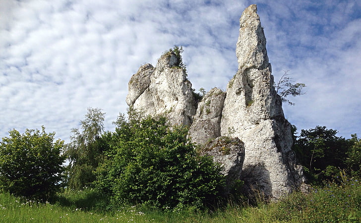 roche blanche, hautes terres jurassiques polonaises, Pologne, calcaire, pierres, Fond d'écran HD