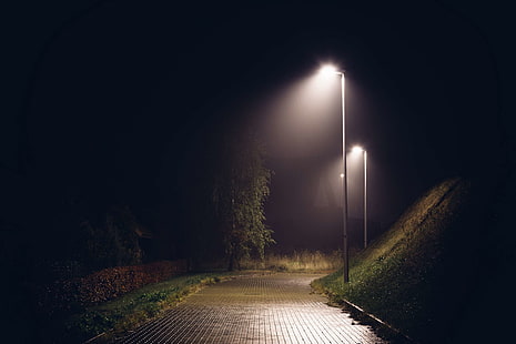dark, drizzle, lights, mist, night, rain, street, HD wallpaper HD wallpaper