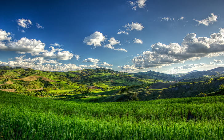 日当たりの良い緑の丘、緑の丘、丘、日当たりの良い丘、自然、風景、 HDデスクトップの壁紙