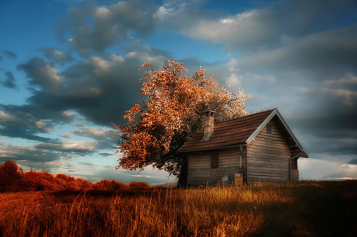 clouds, house, tree, spring, flowering, cottage, Amir Bajrich, HD wallpaper