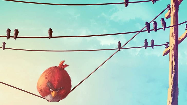 Red Angry Bird, red angry birds character, funny, 1920x1080, wire, bird, angry bird, HD wallpaper