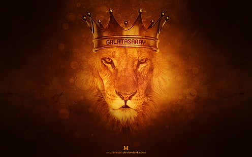  Soccer, Galatasaray S.K., Emblem, Lion, HD wallpaper HD wallpaper