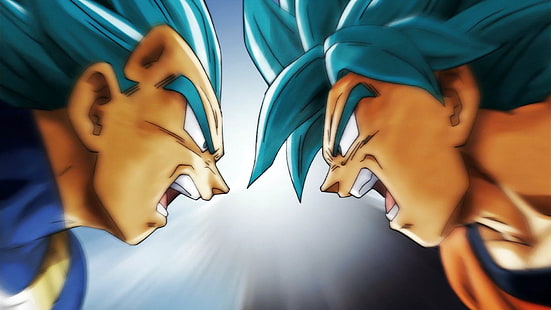 Dragon Ball, Vegeta, Son Goku, Super Dragon Ball, Anime, HD-Hintergrundbild HD wallpaper