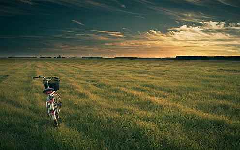 серый городской велосипед, велосипед, поле, трава, вечер, HD обои HD wallpaper
