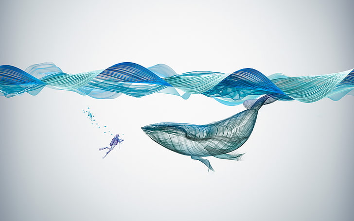 Illustrazione subacquea della balena, subacquea, balena, illustrazione, Sfondo HD