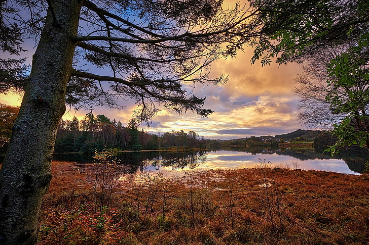 autumn, Norway, Rogaland, HD wallpaper