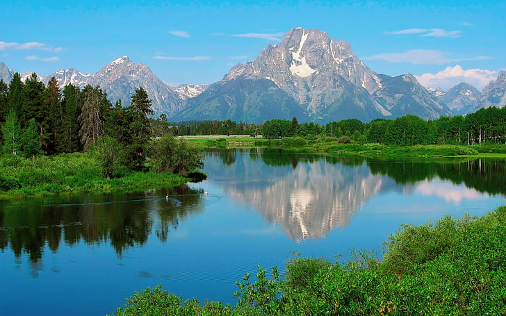 Grand Teton National Park, USA, Wyoming, Grand Teton National Park, Mount Moran, Nature, summer, spring, forest, water, duck, reflection, HD wallpaper