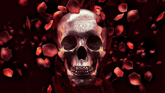 Fundo escuro, crânio, vermelho, pétalas de rosa, HD papel de parede HD wallpaper