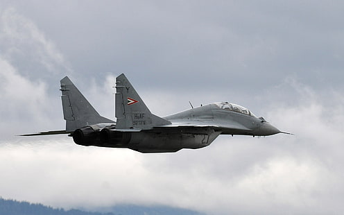 jet gris, mikoyan mig-29, mig-29, avión, caza, Fondo de pantalla HD HD wallpaper