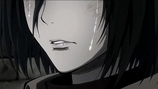 Mikasa Ackerman, Shingeki no Kyojin, animeflickor, svartvitt, HD tapet HD wallpaper