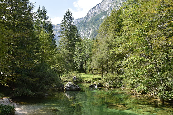 Slovénie, Bohinj, nature, montagnes, paysage, Fond d'écran HD