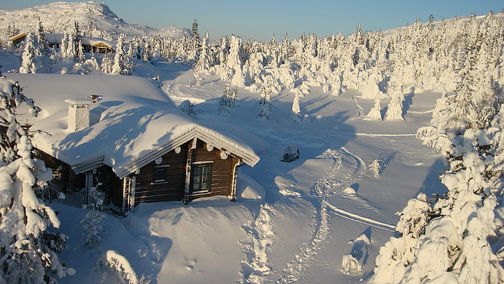 Casa Cabaña Nieve Invierno Árboles HD, cabaña de madera cubierta de nieve, naturaleza, árboles, nieve, invierno, casa, cabaña, Fondo de pantalla HD