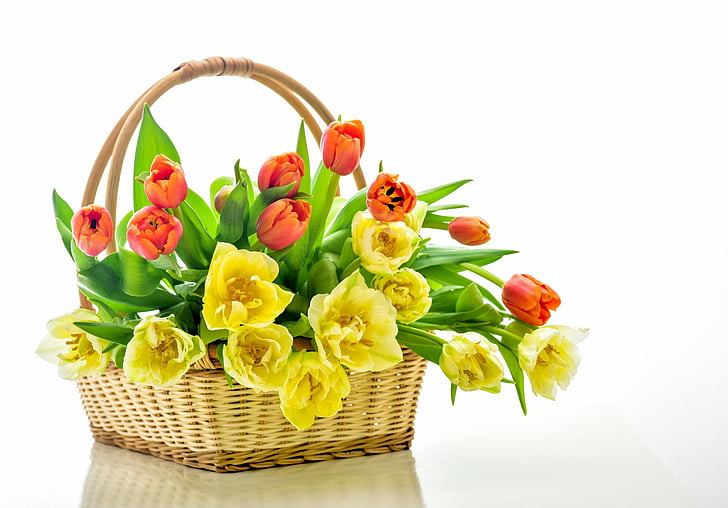 Man Made, Flower, Basket, Earth, Orange, Orange Flower, Tulip, Yellow Flower, HD wallpaper