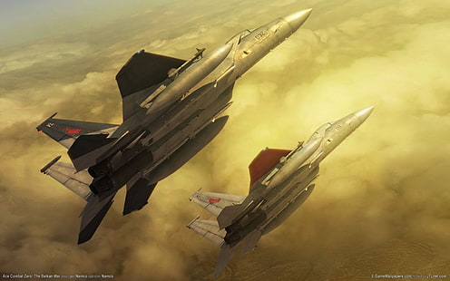 senapan serbu hitam dan abu-abu, Ace Combat, Ace Combat Zero: Perang Belkan, F15 Eagle, Wallpaper HD HD wallpaper