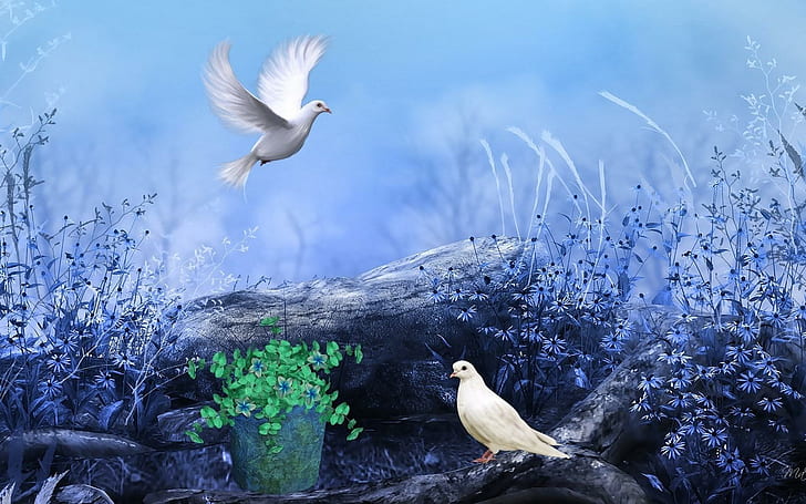 White Pigeons Nature Flowers Colors Paint Wonderful, two doves illustration, white, pigeons, nature, flowers, colors, paint, wonderful, HD wallpaper