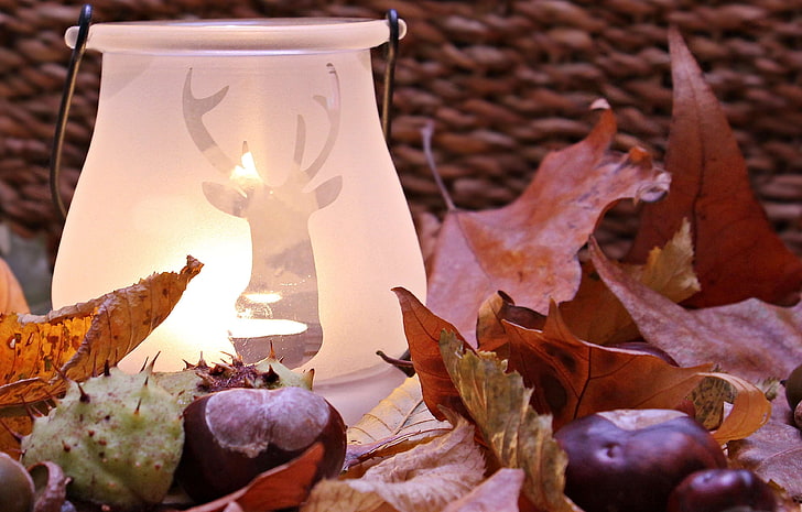 autumn, autumn decoration, bright, candle, candlelight, celebration, chestnut, christmas, close up, colors of autumn, creative, decoration, dry, dry leaves, flame, illuminated, leaves, light, season, HD wallpaper