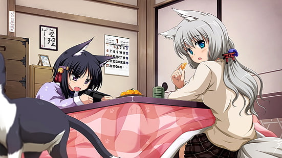 Anime Girls, Nekomimi, Tierohren, originelle Charaktere, HD-Hintergrundbild HD wallpaper