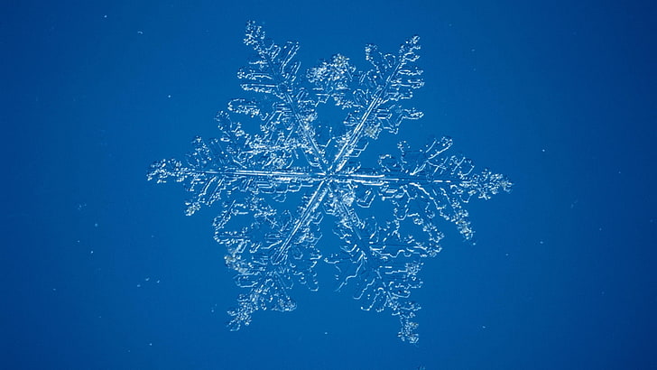 Microscope, snow, Snowflakes, HD wallpaper