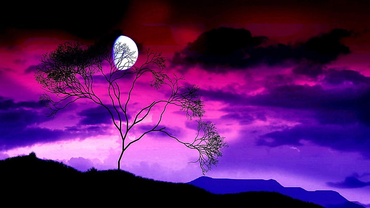 malam, cahaya bulan, sinar bulan, luna, cabang, waxing moon, malam, senja, perasaan senang sesudah mengalami kesenganan, kegelapan, langit, bulan, pohon, pohon kesepian, violet, pohon tunggal, awan, langit ungu, alam, Wallpaper HD