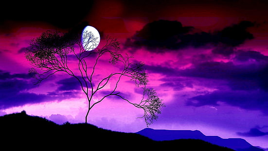 sera, chiaro di luna, chiaro di luna, luna, ramo, luna crescente, notte, crepuscolo, ultimi bagliori, oscurità, cielo, luna, albero, albero solitario, viola, albero solitario, nuvola, cielo viola, natura, Sfondo HD HD wallpaper