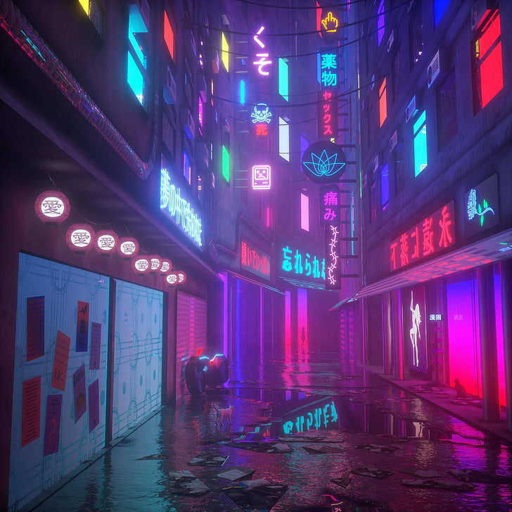 farbig sortiert neon signage lot, cyberpunk, neon, reflexion, katze, vaporwave, HD-Hintergrundbild