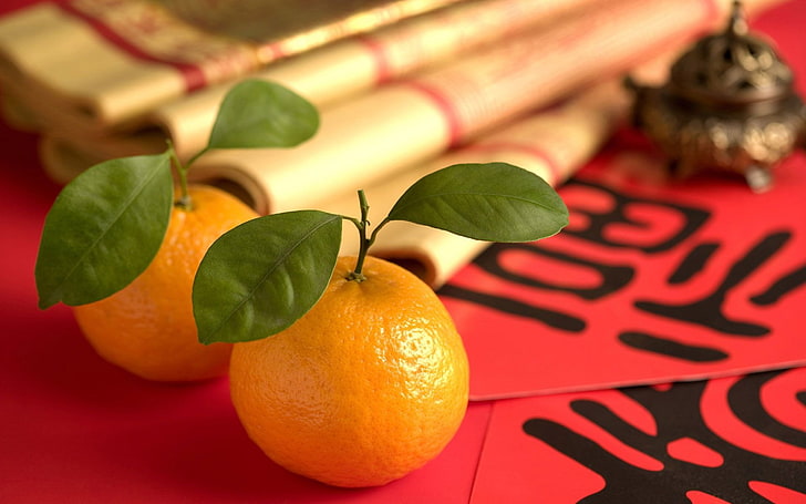 2013 Chinese New Year theme Desktop Wallpaper 26, two tangerines, HD wallpaper