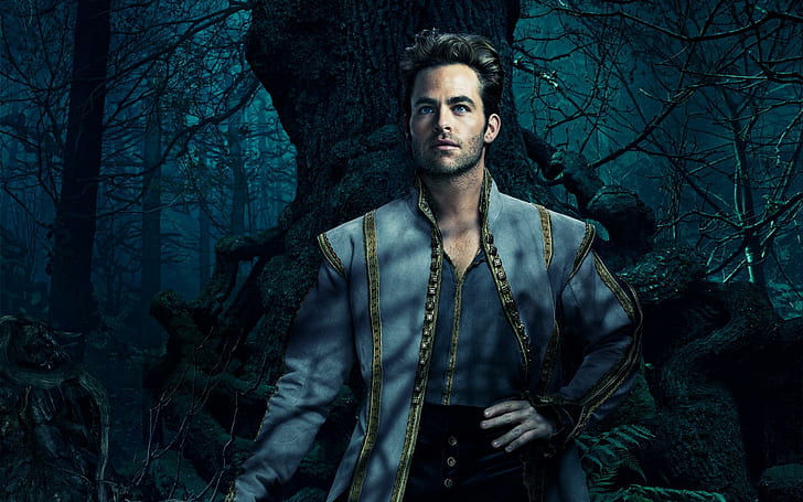 Chris Pine In Into the Woods 2014, movies, hollywood movies, hollywood, 2014, HD wallpaper