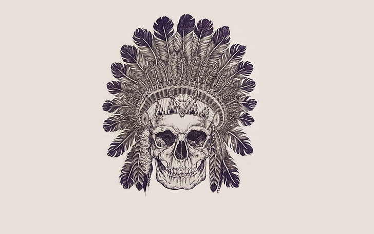 native american skull wallpaper, skull, feathers, skeleton, sake, Indian, HD wallpaper