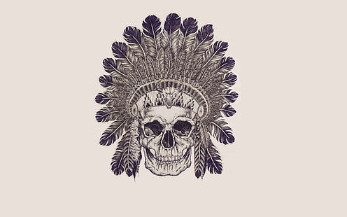 아메리카 원주민 두개골 벽지, 두개골, 깃털, 해골, 술, 인도, HD 배경 화면 HD wallpaper
