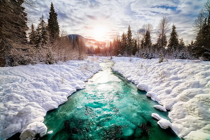 แม่น้ำที่ล้อมรอบด้วยภาพสโนว์ฟิลด์แคนาดาหิมะธรรมชาติทิวทัศน์แม่น้ำฤดูหนาวต้นสน, วอลล์เปเปอร์ HD