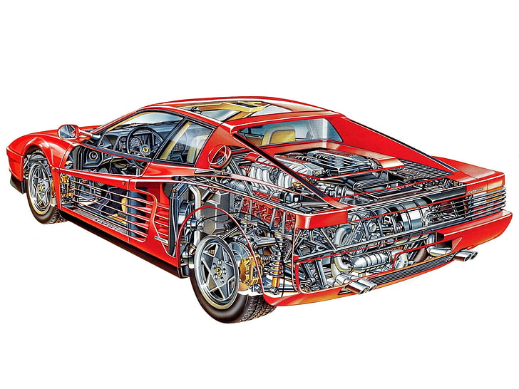 car, sports car, red cars, sketches, engines, gears, wheels, infographics, white background, car interior, Ferrari Testarossa, artwork, cutaway, HD wallpaper