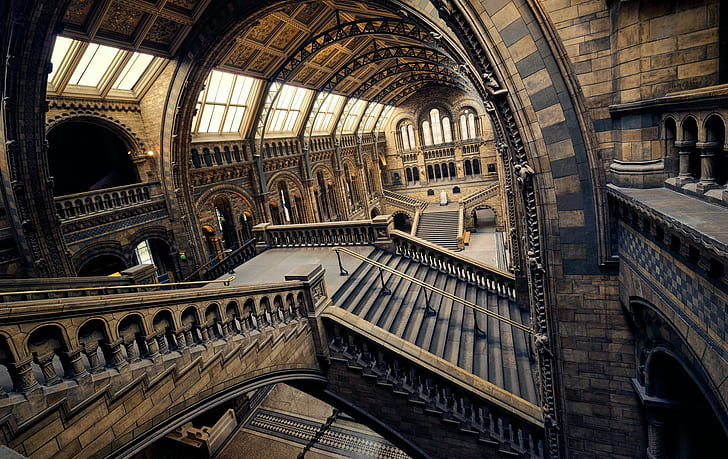 Arch, building, interior, London, Museum, Museum of Natural History, stairs, HD wallpaper