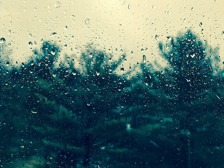 pannello di vetro con acqua, gocce, pannello di vetro, acqua, pioggia, finestra, alberi, goccia di pioggia, goccia, tempo, vetro - Materiale, bagnato, sfondi, natura, astratto, Sfondo HD