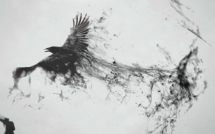 minimalism digital art artwork animals raven crow paint splatter monochrome white background, HD wallpaper