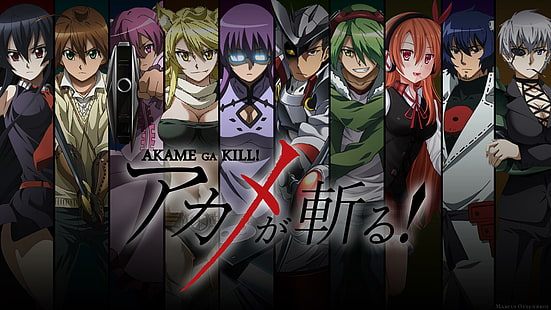 Akame ga kill, night raid, วอลล์เปเปอร์ HD HD wallpaper