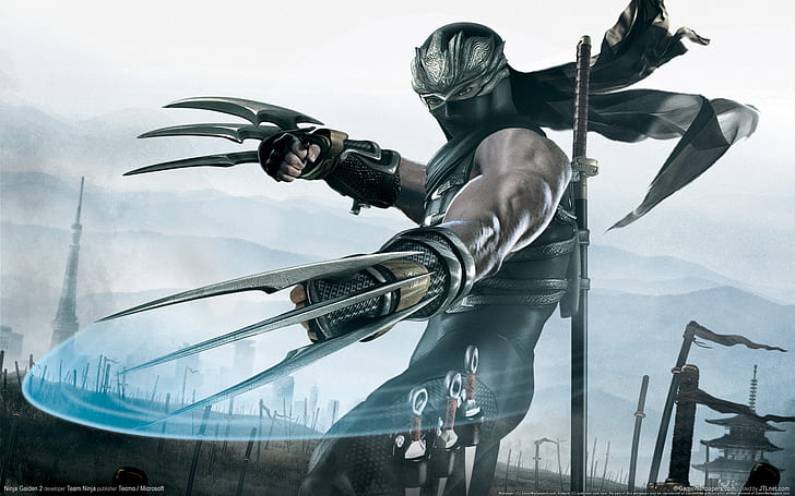 Ninja Gaiden 2 Game, HD wallpaper