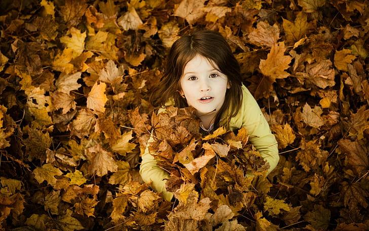 petite fille, enfants, brunette, vue de dessus, feuilles tombées, Fond d'écran HD