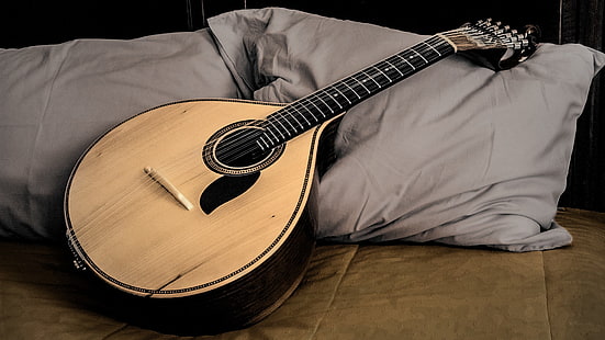 เครื่องสายสีน้ำตาล Guitarra portuguesa กีตาร์เครื่องดนตรีเพลง, วอลล์เปเปอร์ HD HD wallpaper