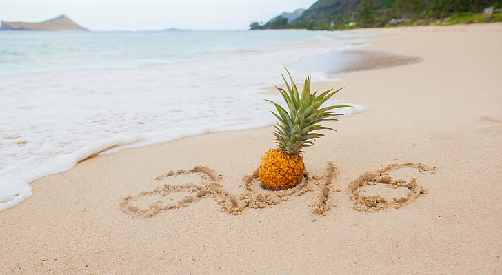 Pineapple near body of water, Happy New Year, Welcome, Pineapple, body of water, Hawaii, Paradise, Fruit, Ocean, HNE, New Year's Eve, Pacific  Islands, Tropical, Waimanalo Beach, Oahu, beach, sand, nature, sea, tropical Climate, summer, vacations, coastline, HD wallpaper