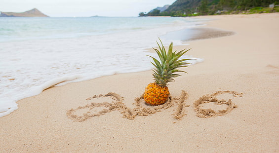 Pineapple near body of water, Happy New Year, Welcome, Pineapple, body of water, Hawaii, Paradise, Fruit, Ocean, HNE, New Year's Eve, Pacific  Islands, Tropical, Waimanalo Beach, Oahu, beach, sand, nature, sea, tropical Climate, summer, vacations, coastline, HD wallpaper HD wallpaper