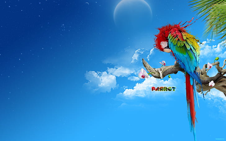 Le perroquet, perroquet rouge bleu et jaune, perroquet, Fond d'écran HD