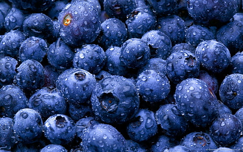자연 과일 음식 물방울 딸기 블루 베리 사진 갤러리, 과일, 딸기, 블루 베리, 방울, 음식, 갤러리, 자연, 사진, 물, HD 배경 화면 HD wallpaper
