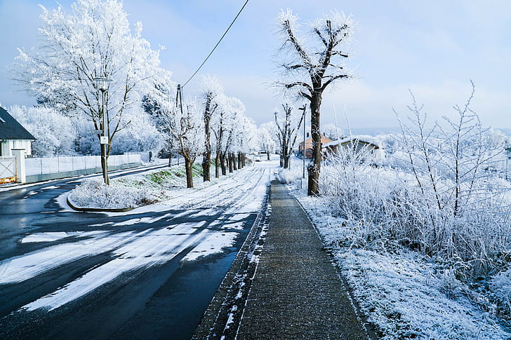 naturaleza, paisaje, invierno, nieve, árboles, camino, hielo, calle, blanco, Fondo de pantalla HD