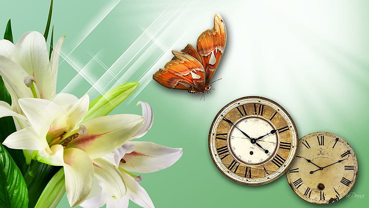 Lily Light Time, firefox persona, vintage, time, flower, clocks, green, butterfly, sparkle, light, glow, lily, 3d and ab, HD wallpaper